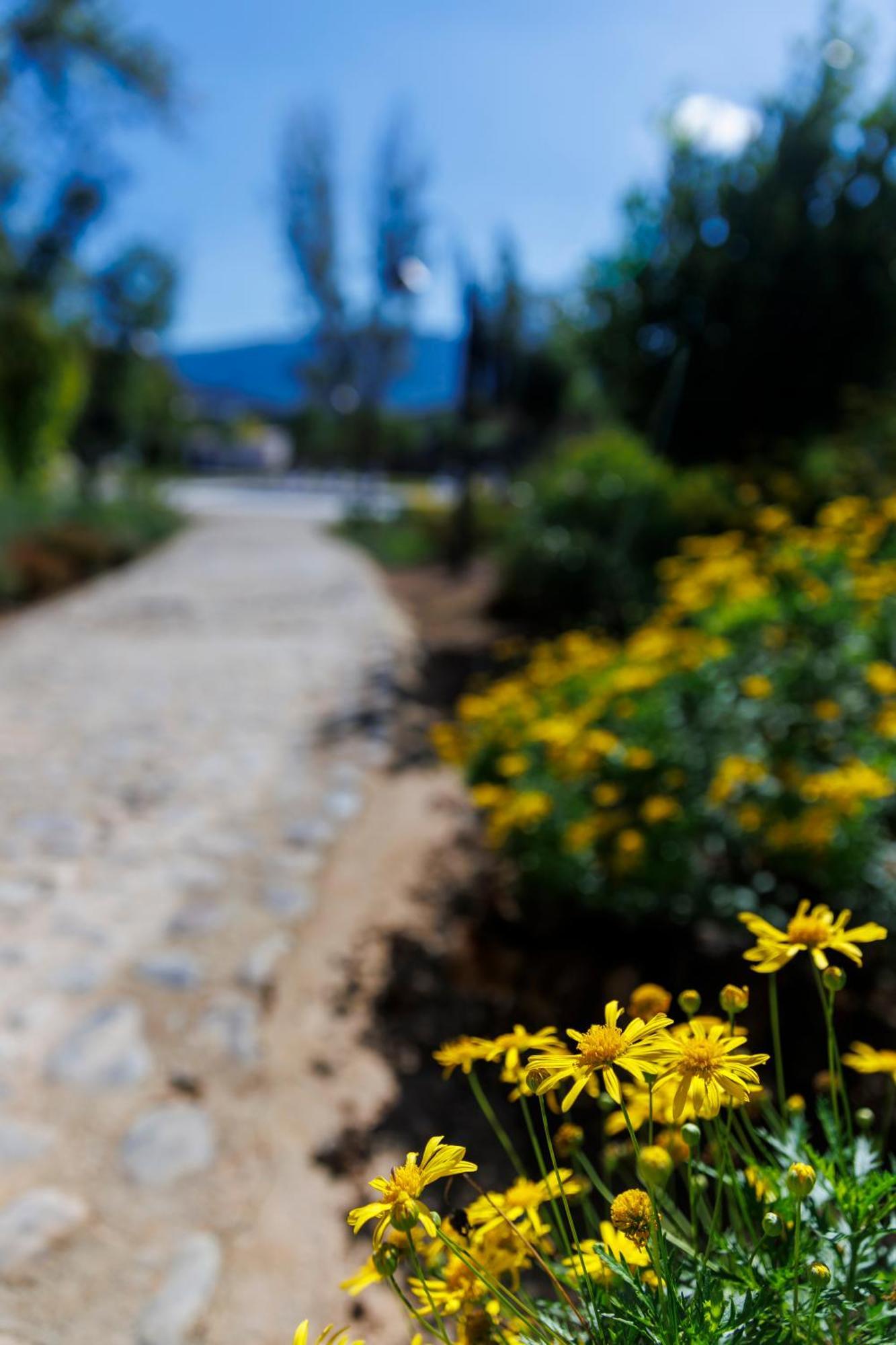 Finca Las Pecas Zambra المظهر الخارجي الصورة